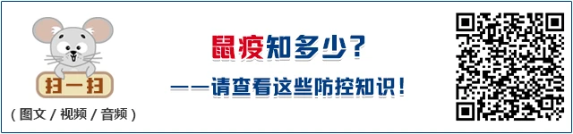 篮球训练英文术语怎么说_2